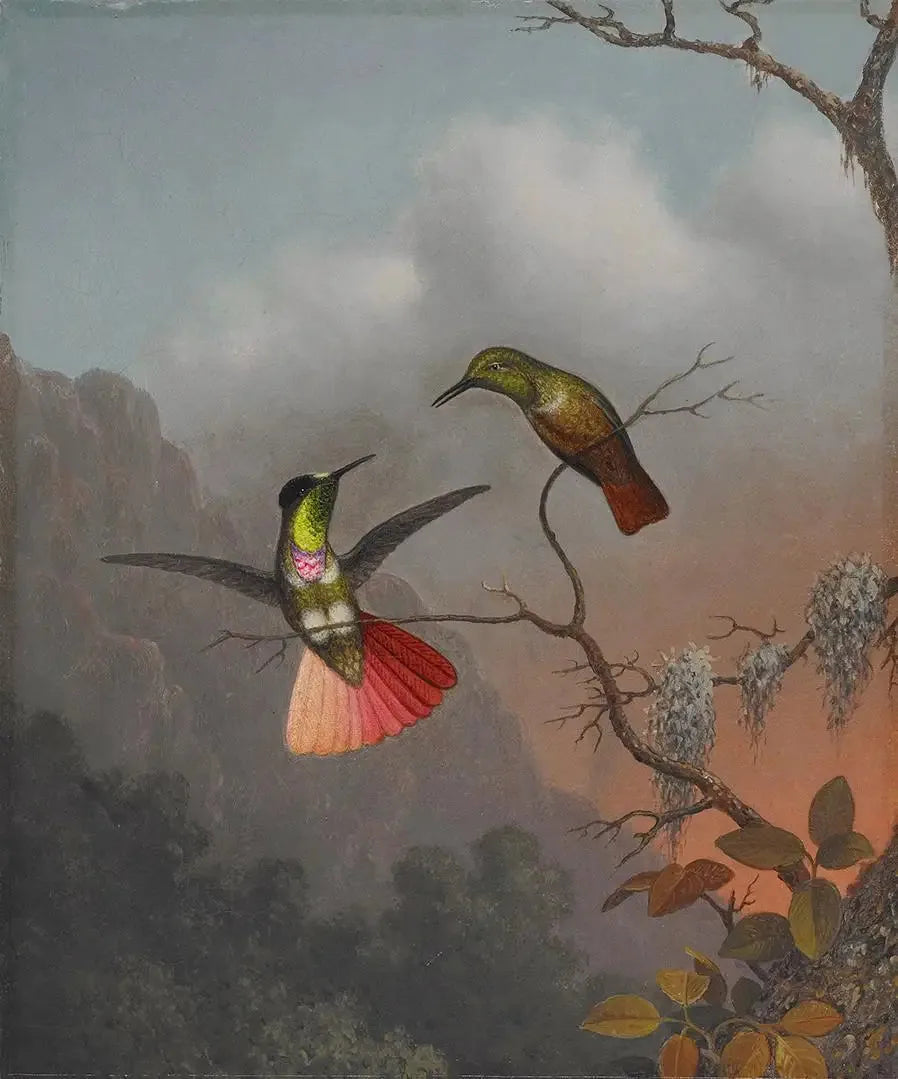 Capuchelensdrager met vizier - Martin Johnson Heade

Source:
Porteur de visière à capuche - Martin Johnson Heade
