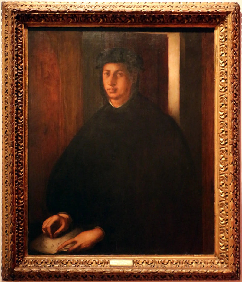 Portret van Alexandre de Médicis - Pontormo
