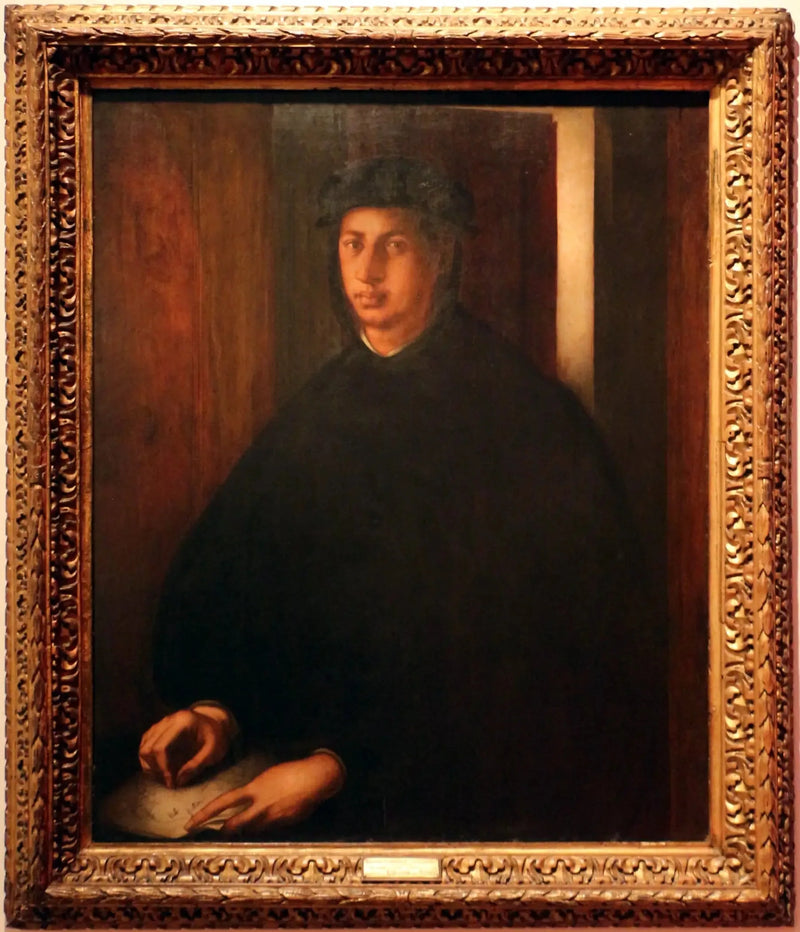 Portret van Alexandre de Médicis - Pontormo