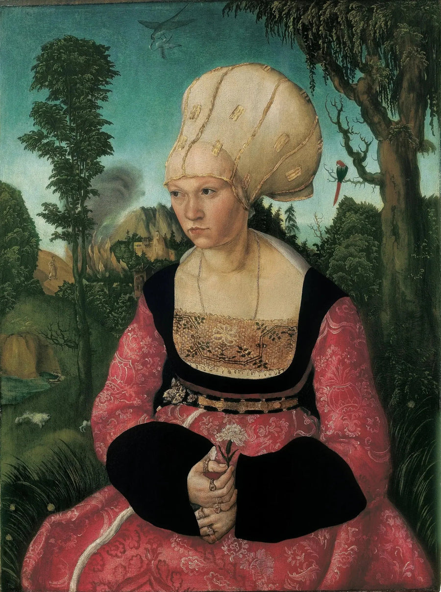 Portret van Anna Cuspinian - Lucas Cranach de Oudere