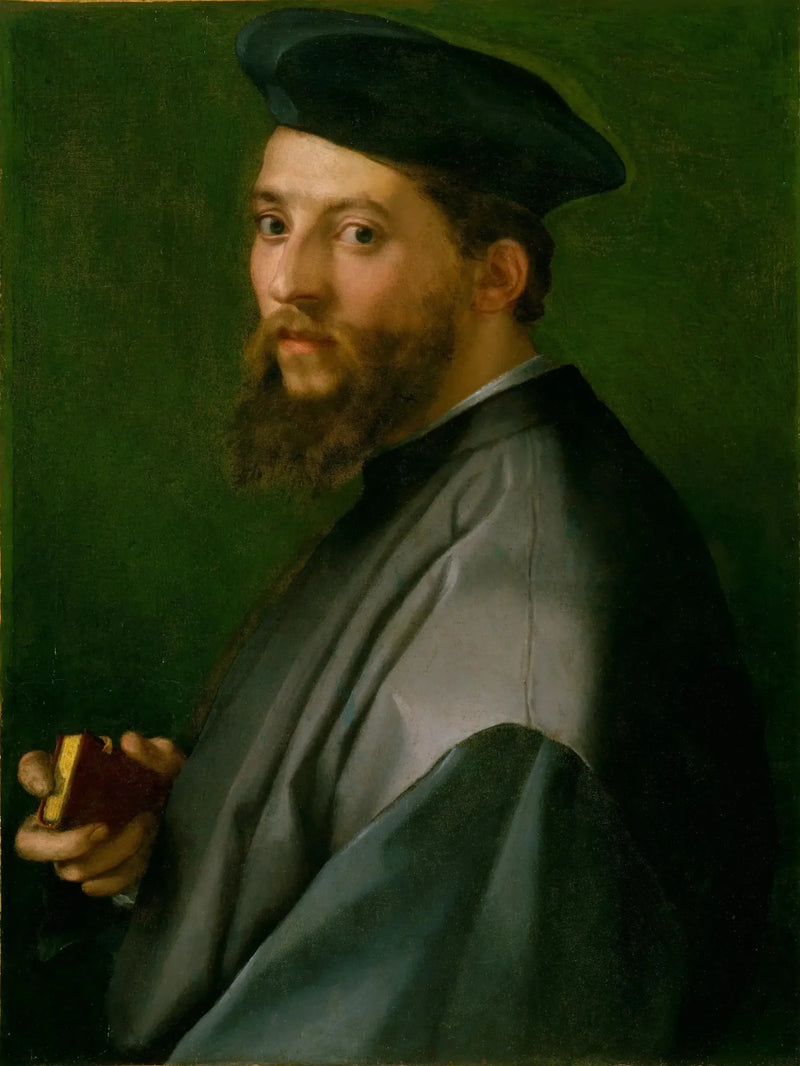 Portret van een man - Andrea del Sarto