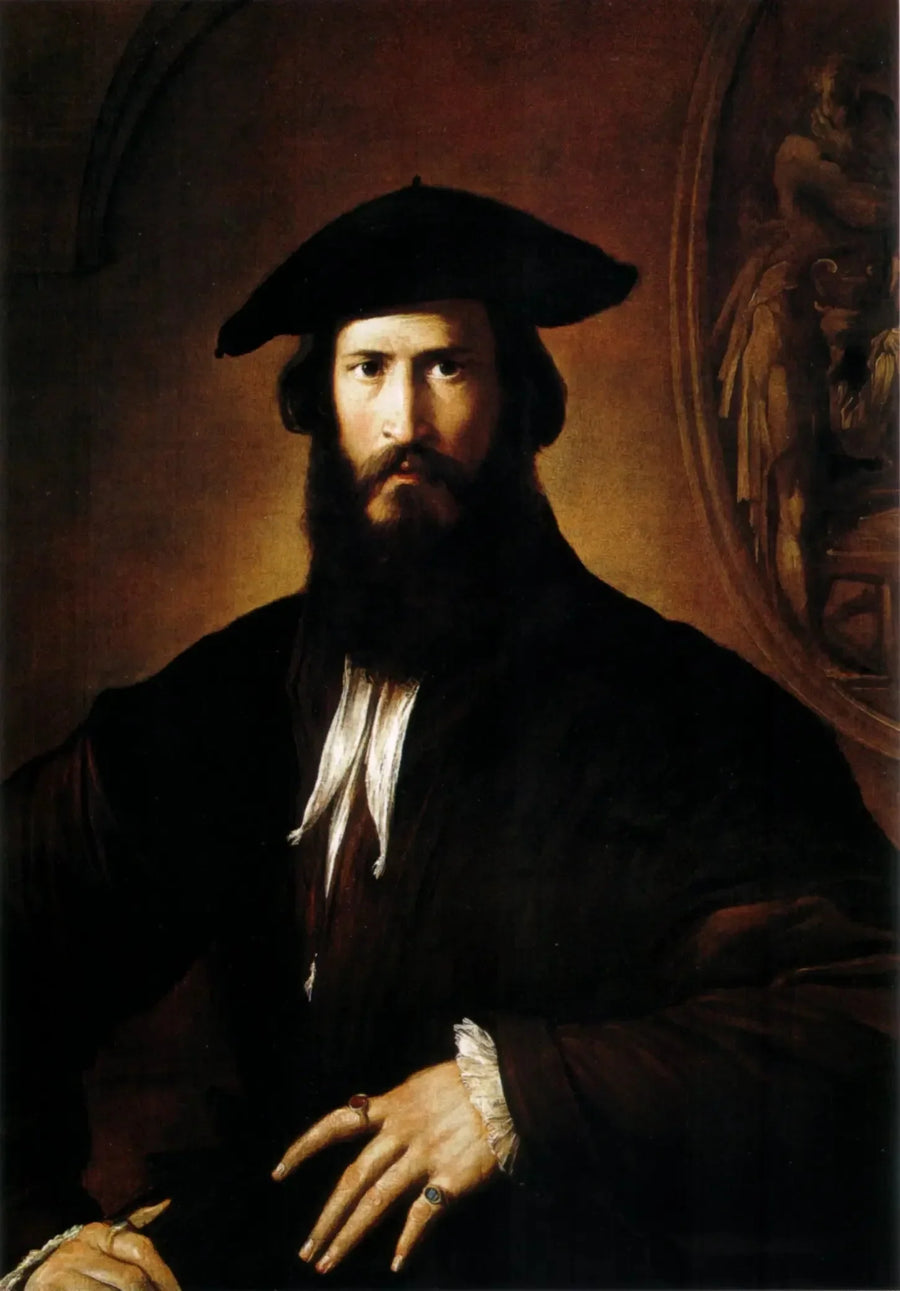 Portret van een man - Parmigianino