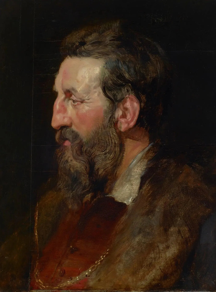 Portret van een man - Peter Paul Rubens