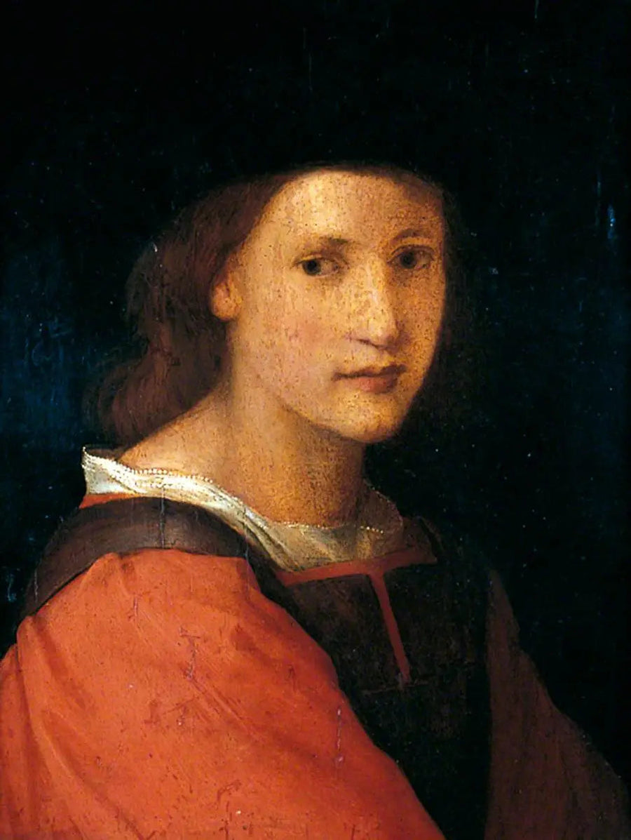 Portret van een jonge man - Andrea del Sarto