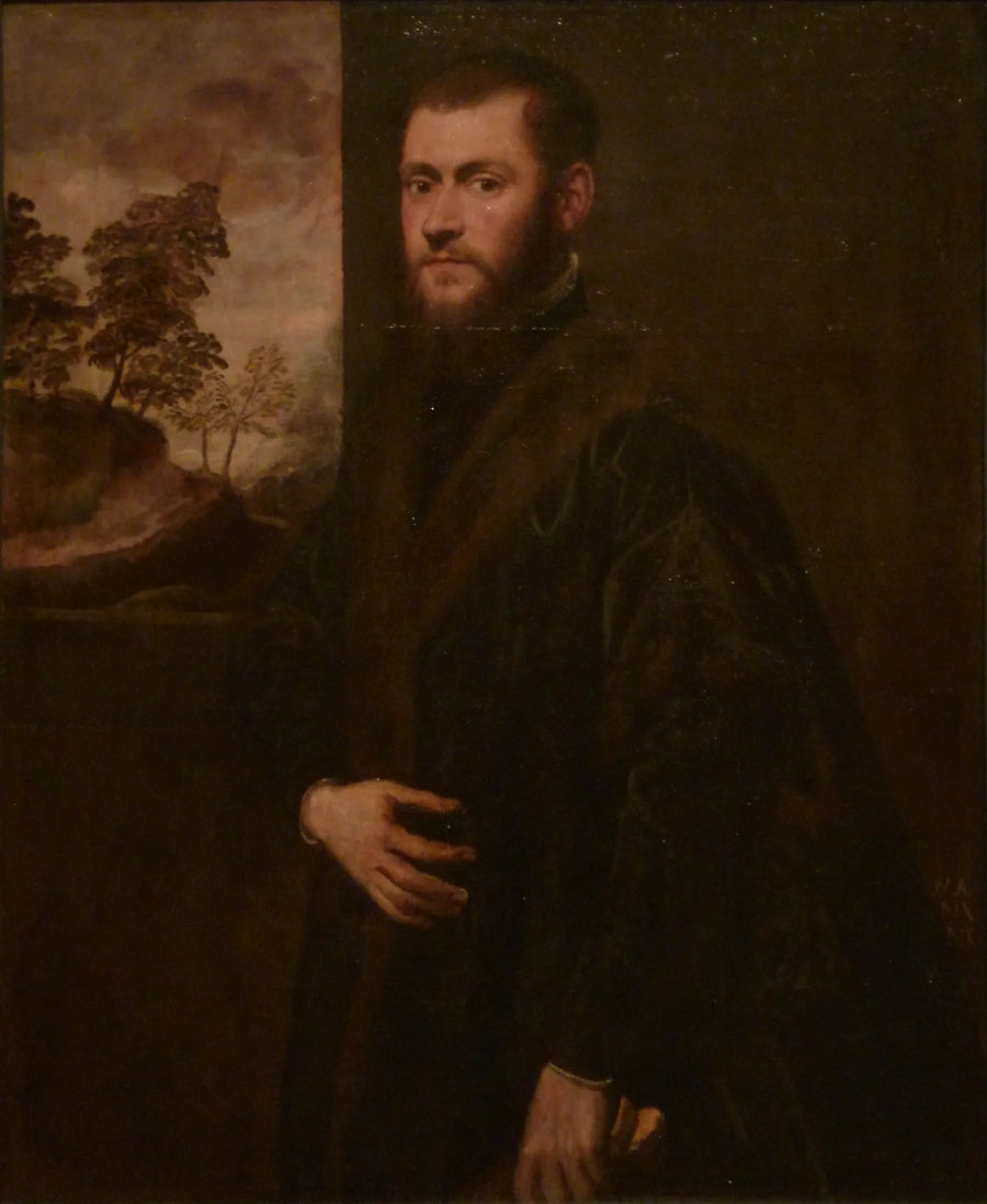 Portret van een jonge edelman - Jacopo Tintoretto