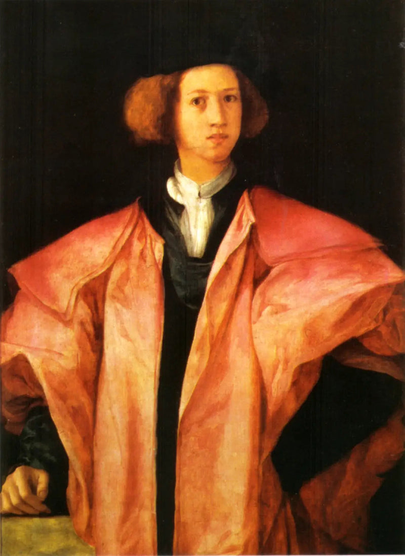 Portret van een jonge man - Pontormo
