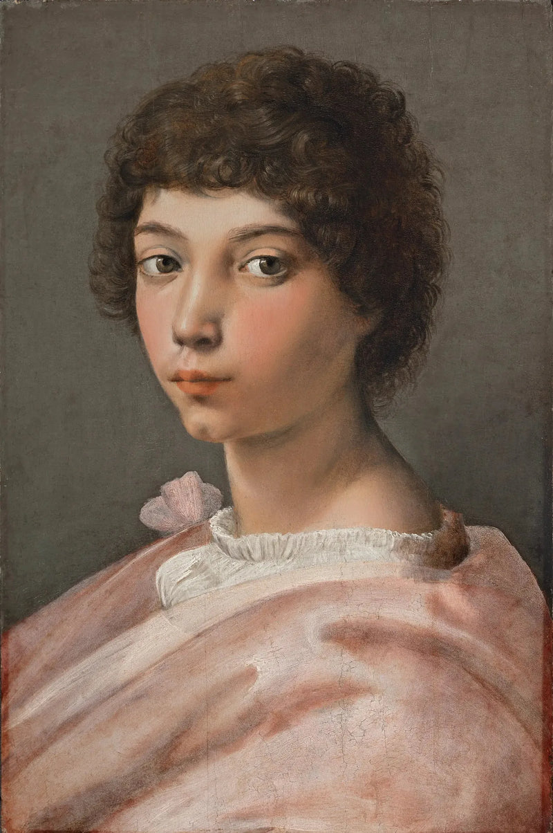 Portret van een jonge man - Raphael Sanzio