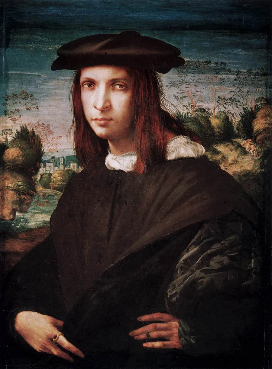 Portret van een jonge man - Rosso Fiorentino