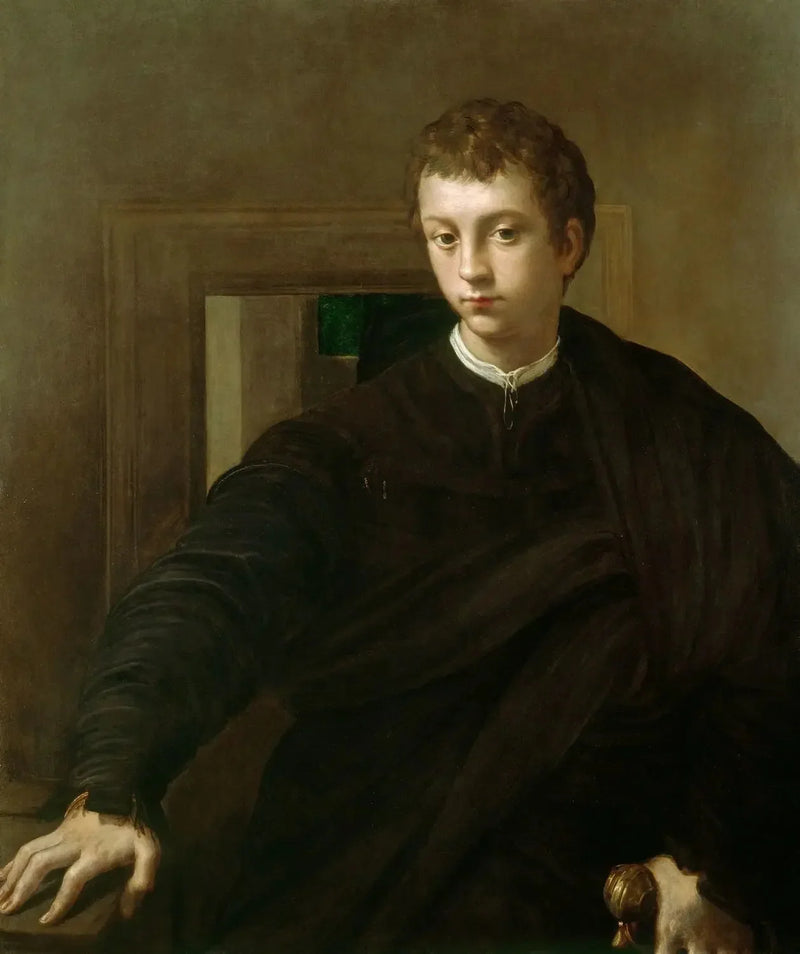 Portret van een jonge edelman - Parmigianino