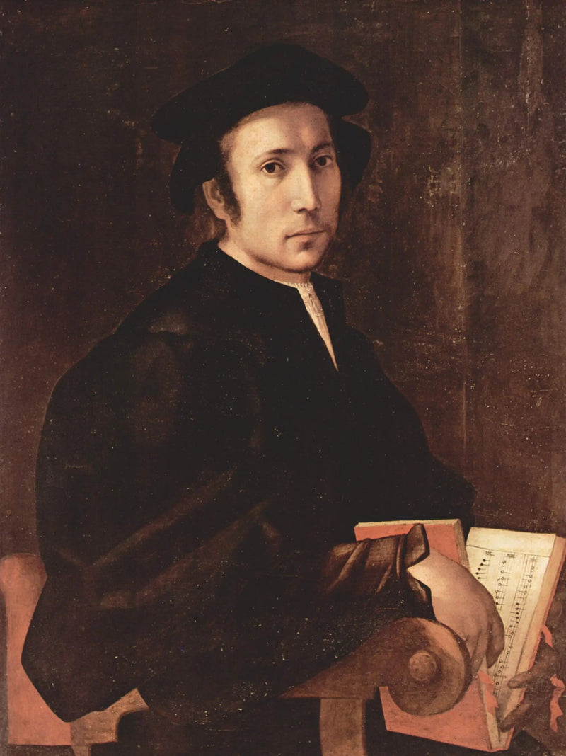Portret van een musicus - Pontormo