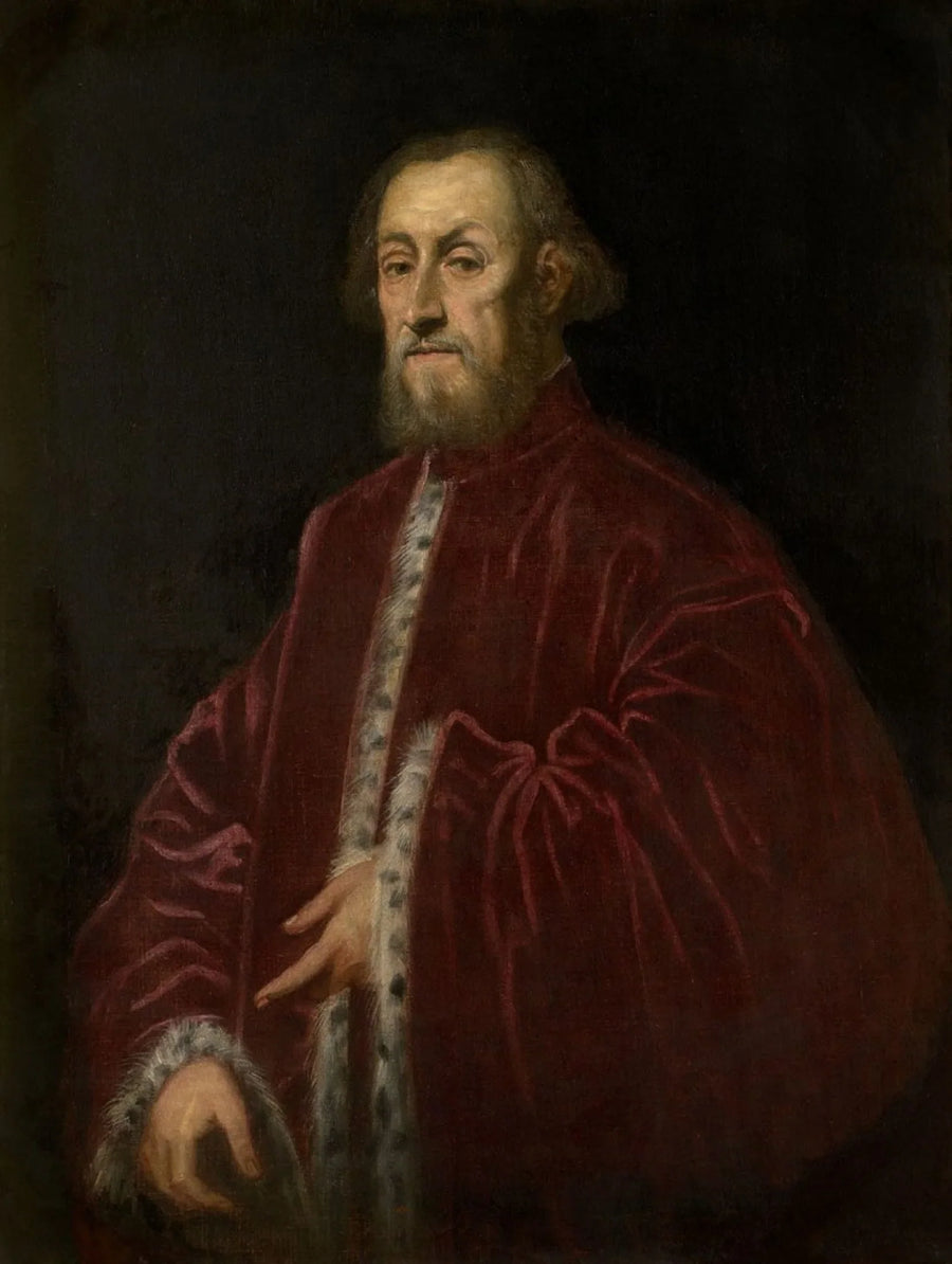Portret van een Venetiaanse senator - Jacopo Tintoretto