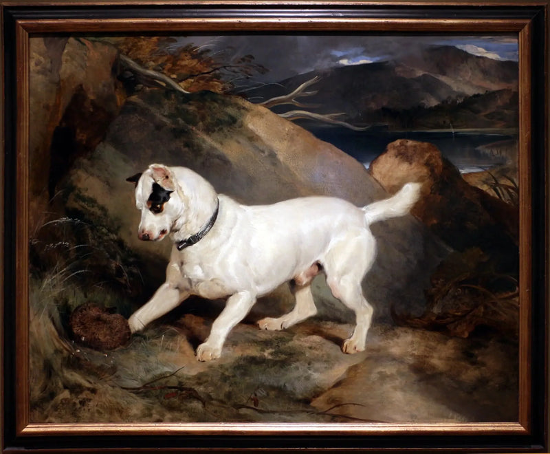 Portret van een terriër, eigendom van Owen Williams, ESQ., parlementslid (Jocko met een egel) - Edwin Henry Landseer

Source:
Portrait d'un terrier, propriété d'Owen Williams, ESQ., député (Jocko avec un hérisson) - Edwin Henry Landseer