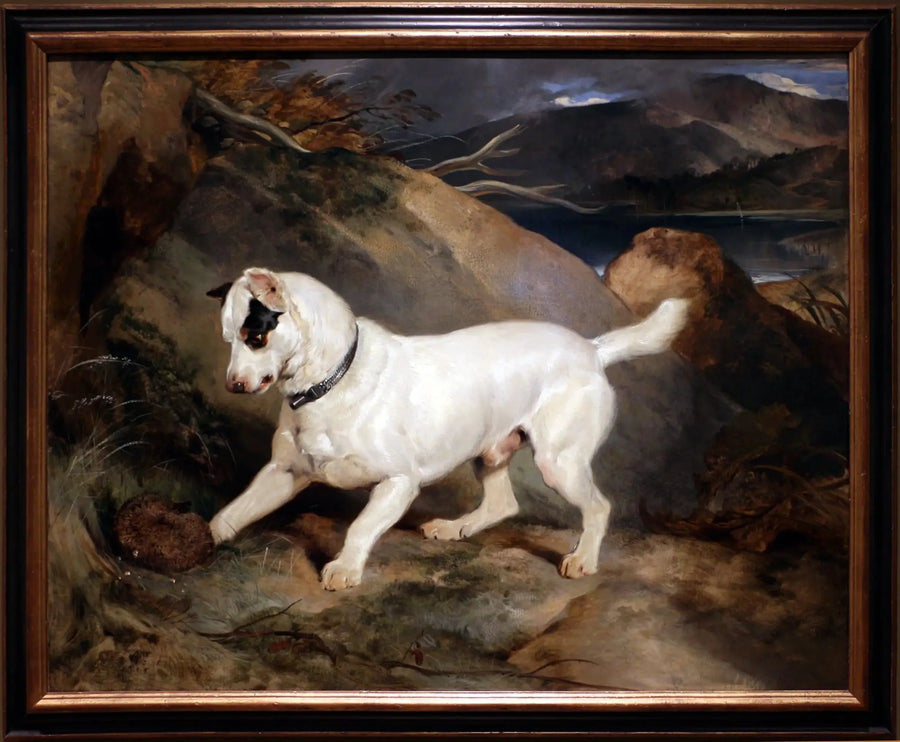 Portret van een terriër, eigendom van Owen Williams, ESQ., parlementslid (Jocko met een egel) - Edwin Henry Landseer

Source:
Portrait d'un terrier, propriété d'Owen Williams, ESQ., député (Jocko avec un hérisson) - Edwin Henry Landseer