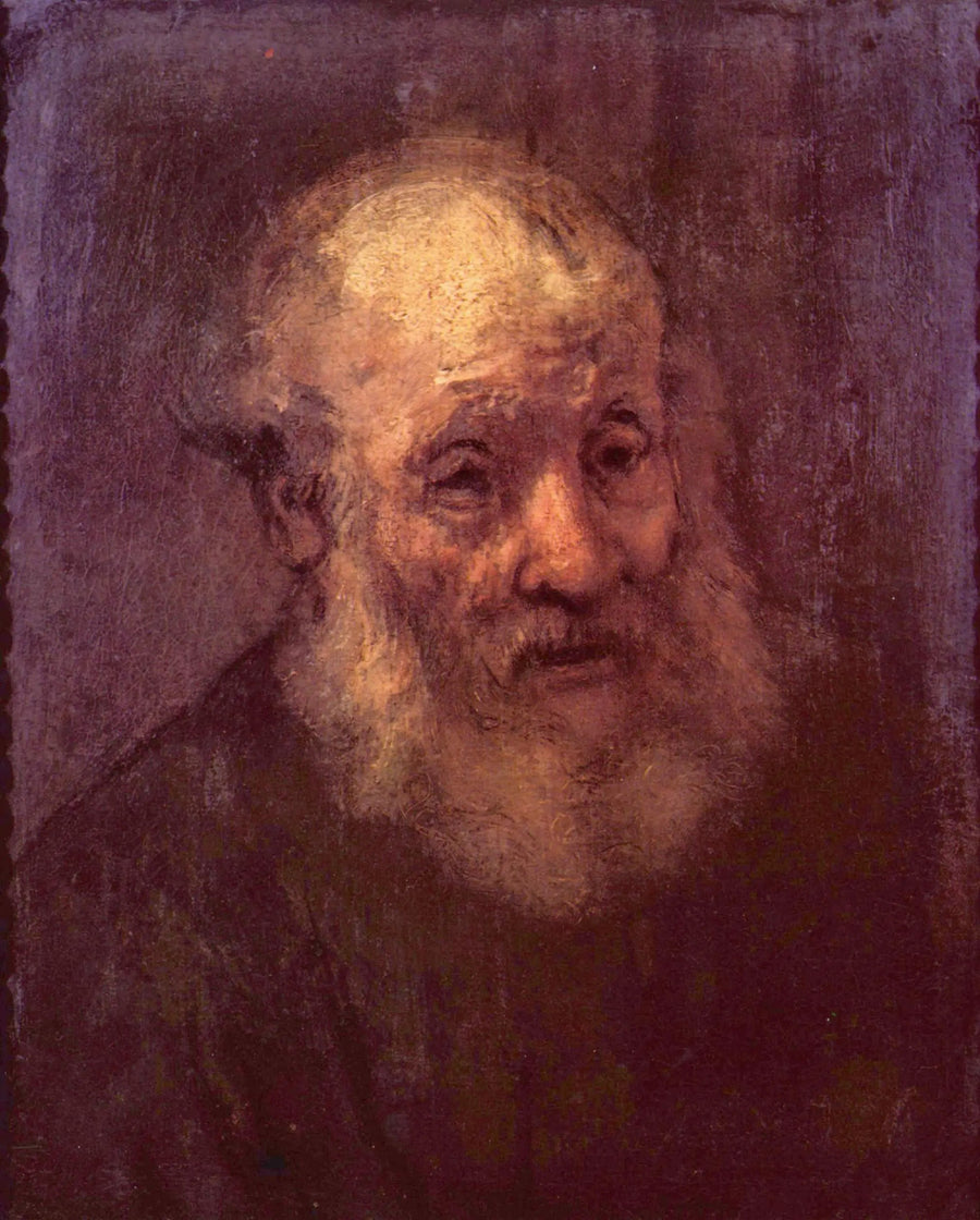 Portret van een oude baardman - Rembrandt
