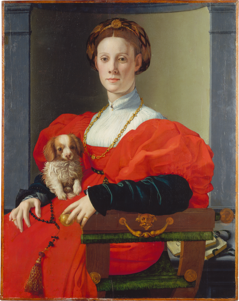 Portret van een dame met een huisdierhond - Bronzino