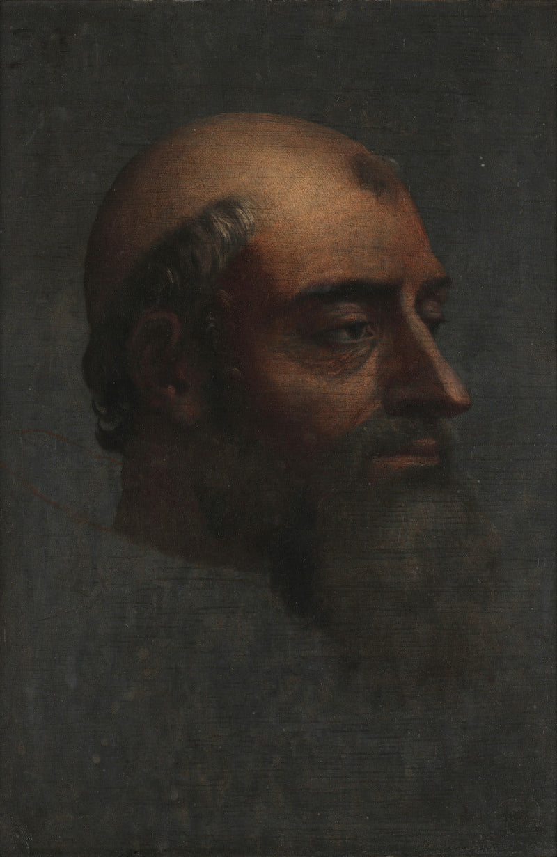 Portret van Clemens VII met baard - Sebastiano del Piombo