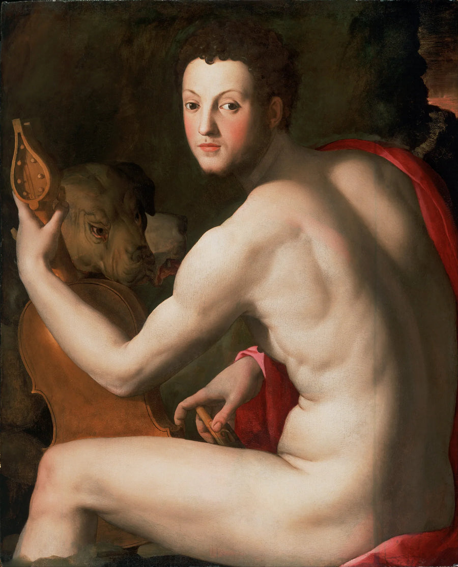 Portret van Cosme I de Medici als Orpheus - Bronzino