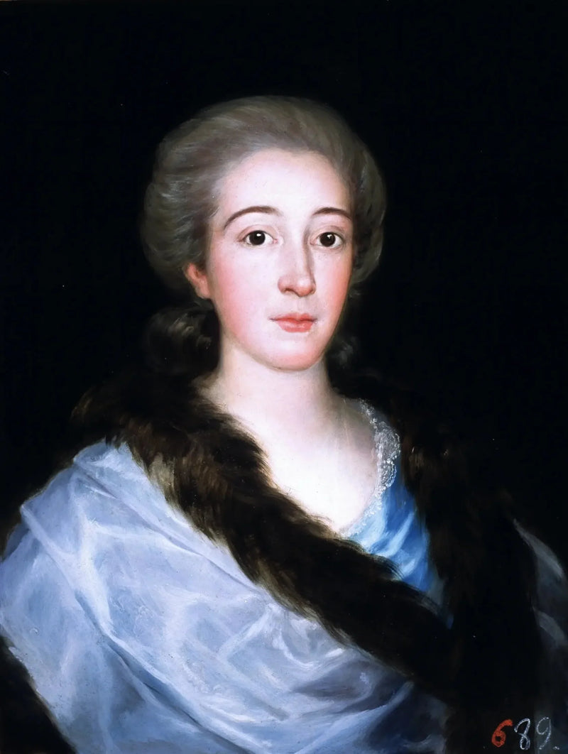 Portret van Doña María Teresa de Vallabriga y Rozas (1759-1820) - Francisco de Goya