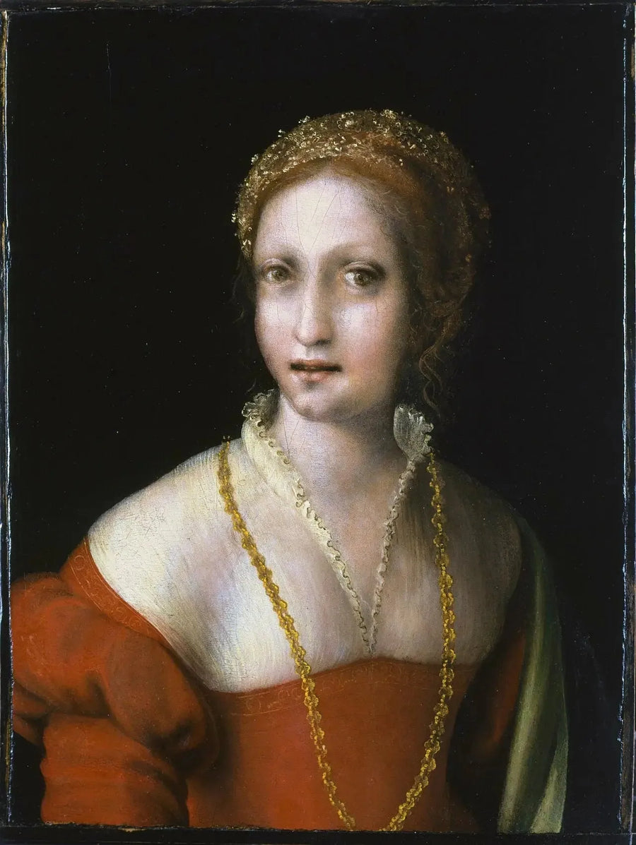 Portret van een jonge vrouw - Antonio da Correggio