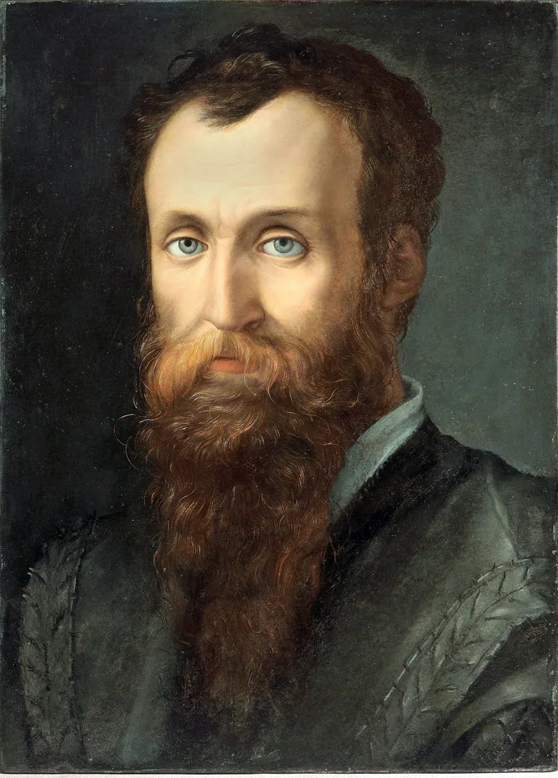 Portret van Luca Martini - Bronzino