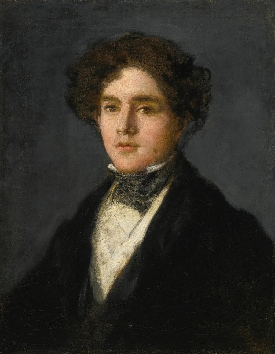 Portret van Mariano Goya, kleinzoon van de kunstenaar - Francisco de Goya