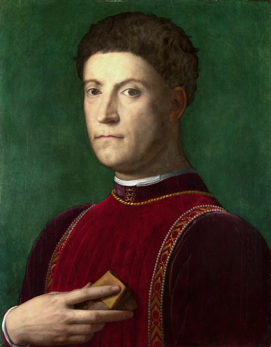 Portret van Piero de' Medici - Bronzino