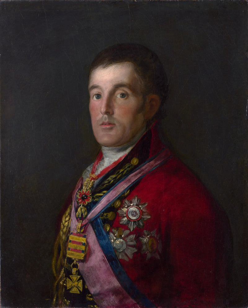 Portret van de hertog van Wellington - Francisco de Goya