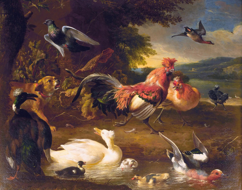 Kippen en eenden - Melchior de Hondecoeter