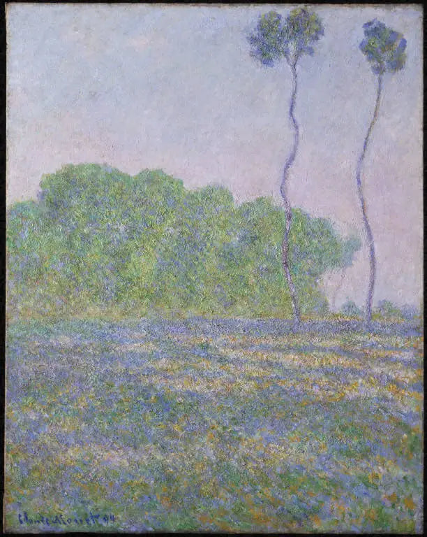 Weide in Giverny - Claude Monet