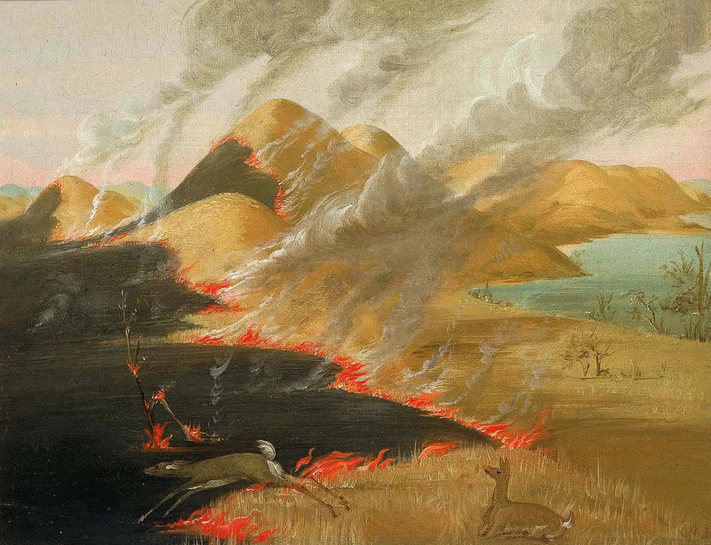 Prairie Bluffs en vuur - George Catlin

Source:
Prairie Bluffs en feu - George Catlin