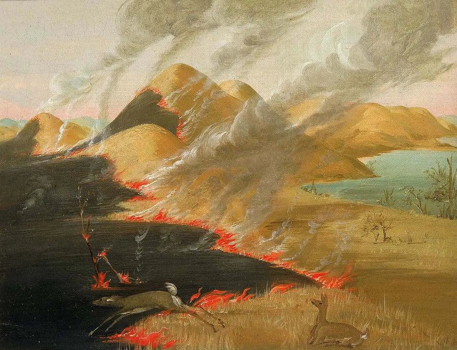 Prairie Bluffs en vuur - George Catlin

Source:
Prairie Bluffs en feu - George Catlin