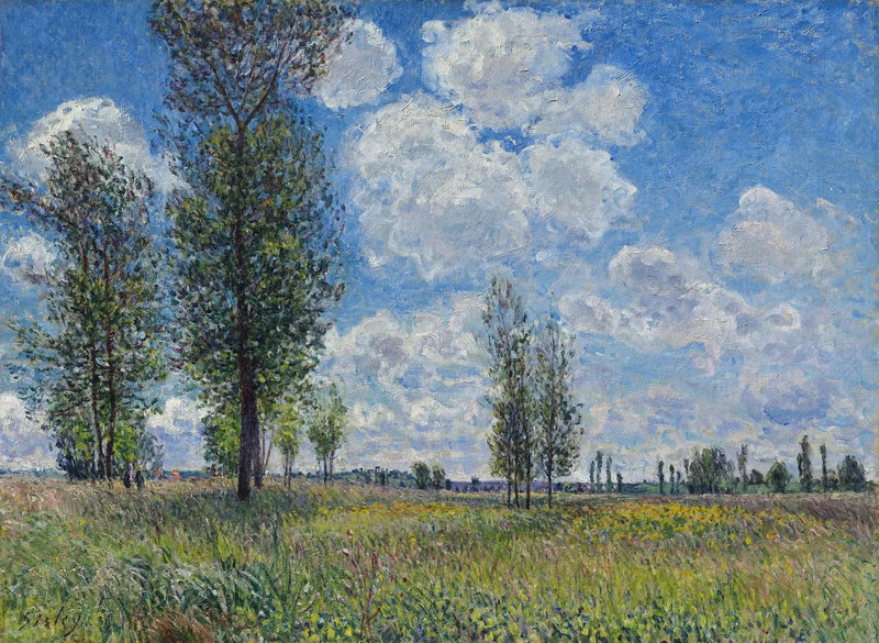 Prairie van Veneux-Nadon - Alfred Sisley