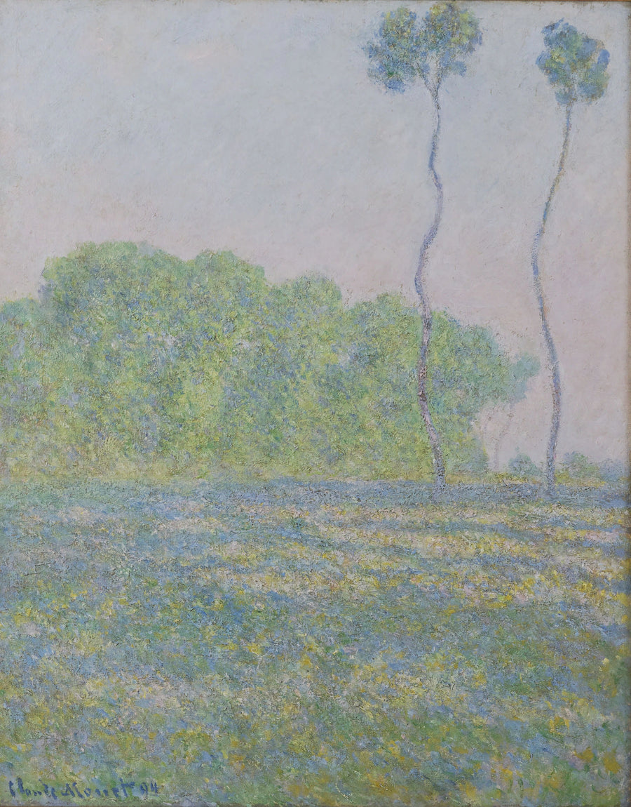 Weide in Giverny - Claude Monet