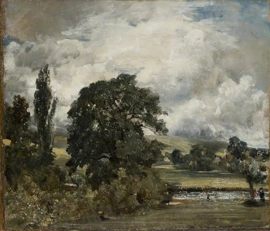 Naturlijke weiden bij Salisbury - John Constable