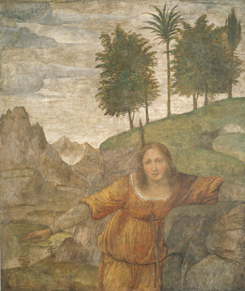 Procris doorboord door de speer van Céphale - Bernardino Luini