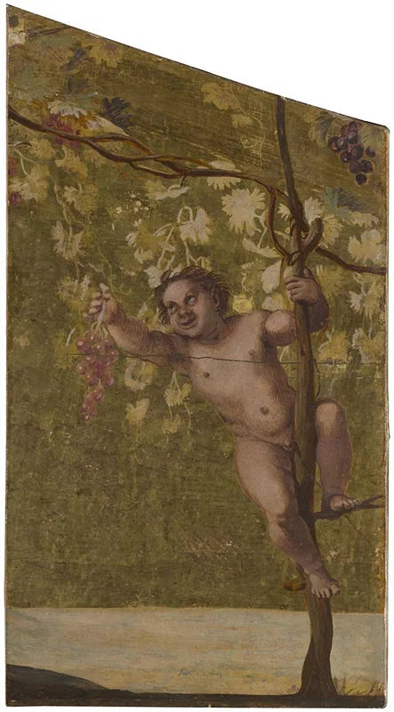 Putto dat druiven plukt - Annibale Carracci
