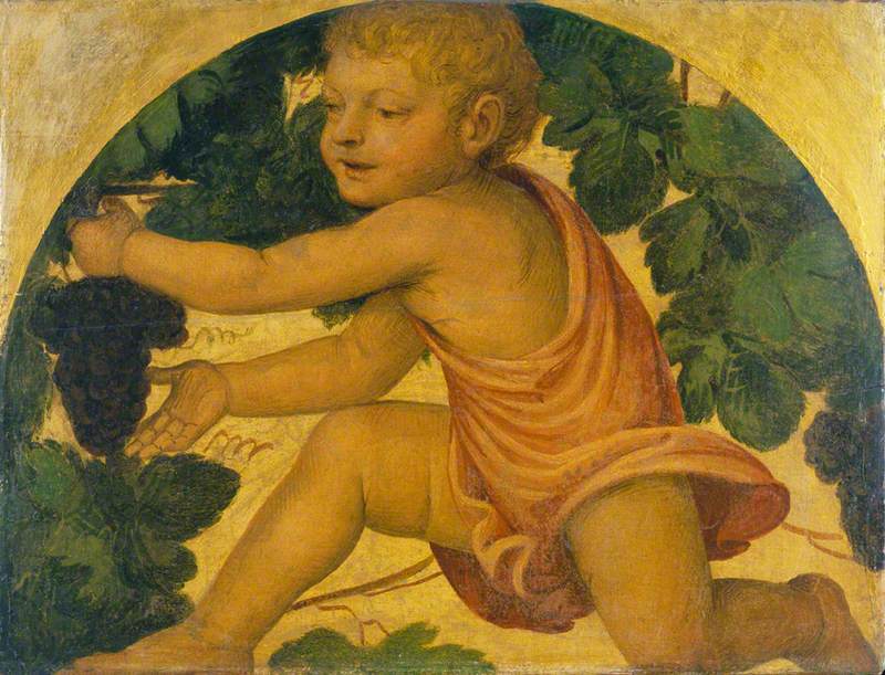 Putto dat druiven plukt - Bernardino Luini