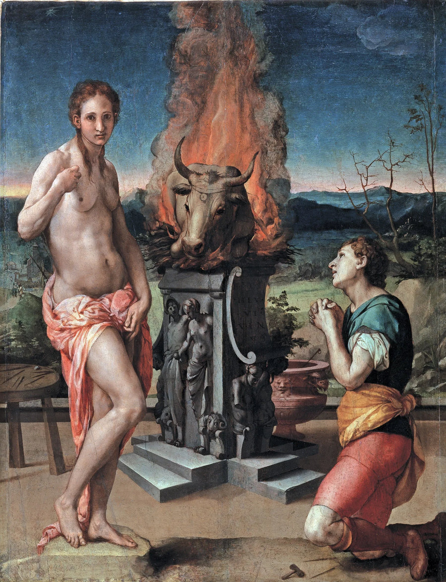Pygmalion en Galatea - Bronzino