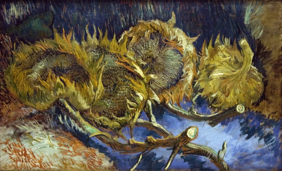 Vier verwelkte zonnebloemen - Vincent van Gogh