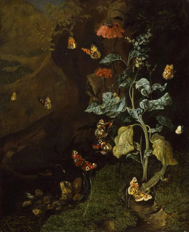 Insectes et lézard dans un sous-bois - Rachel Ruysch