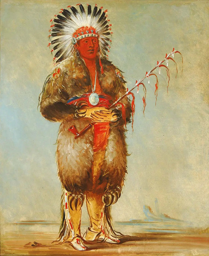 Ráw-no-way-wóh-krah, Loose Pipestem, un Brave - George Catlin

Source:
Ráw-no-way-wóh-krah, Loose Pipestem, un Brave - George Catlin
