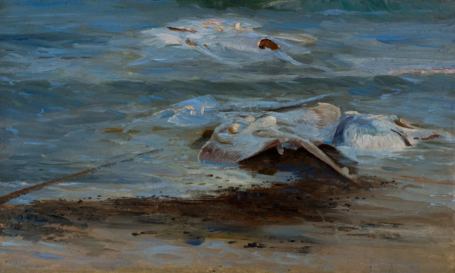 Dode stralen - Peder Severin Krøyer