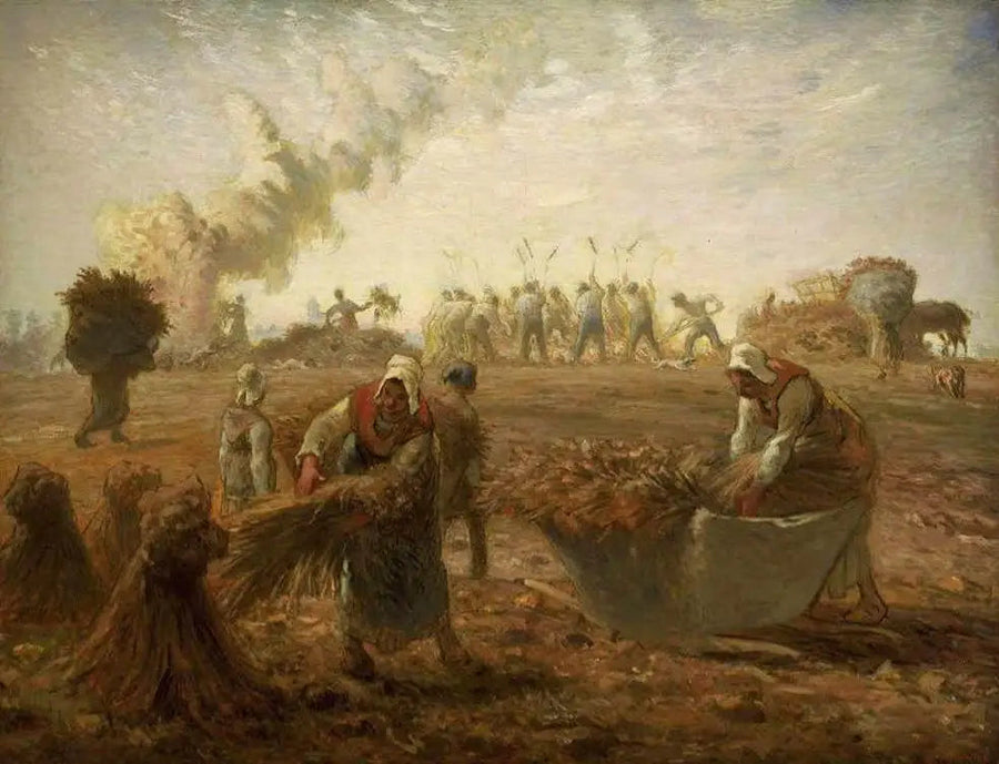 Oogst van boekweit, zomer - Jean-François Millet