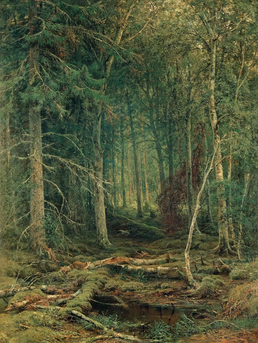 Onbenutte bosregio - Ivan Chichkine

Source:
Région forestière inexploitée - Ivan Chichkine