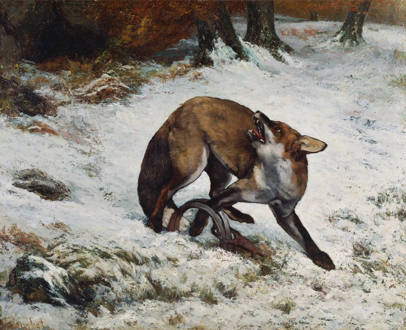 Vos gevangen in een val - Gustave Courbet