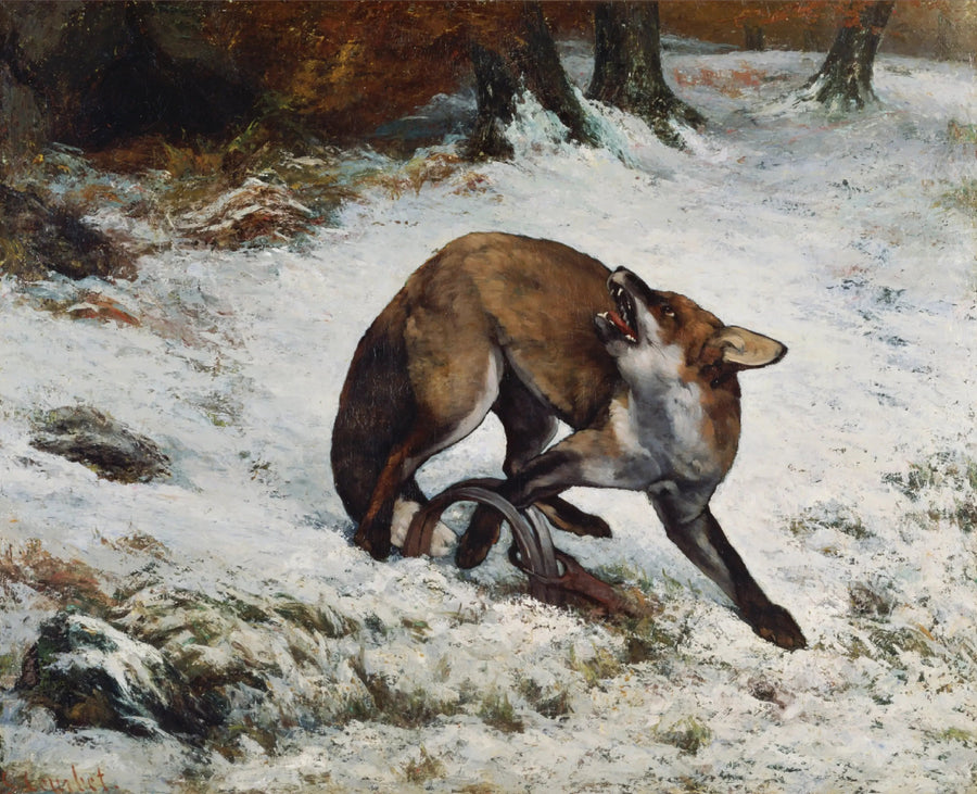 Vos gevangen in een val - Gustave Courbet