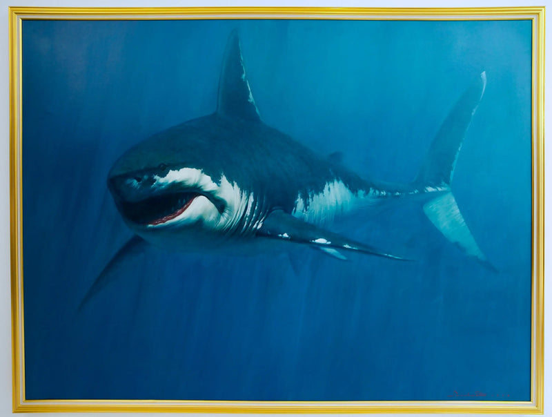 Haai | 150x200cm