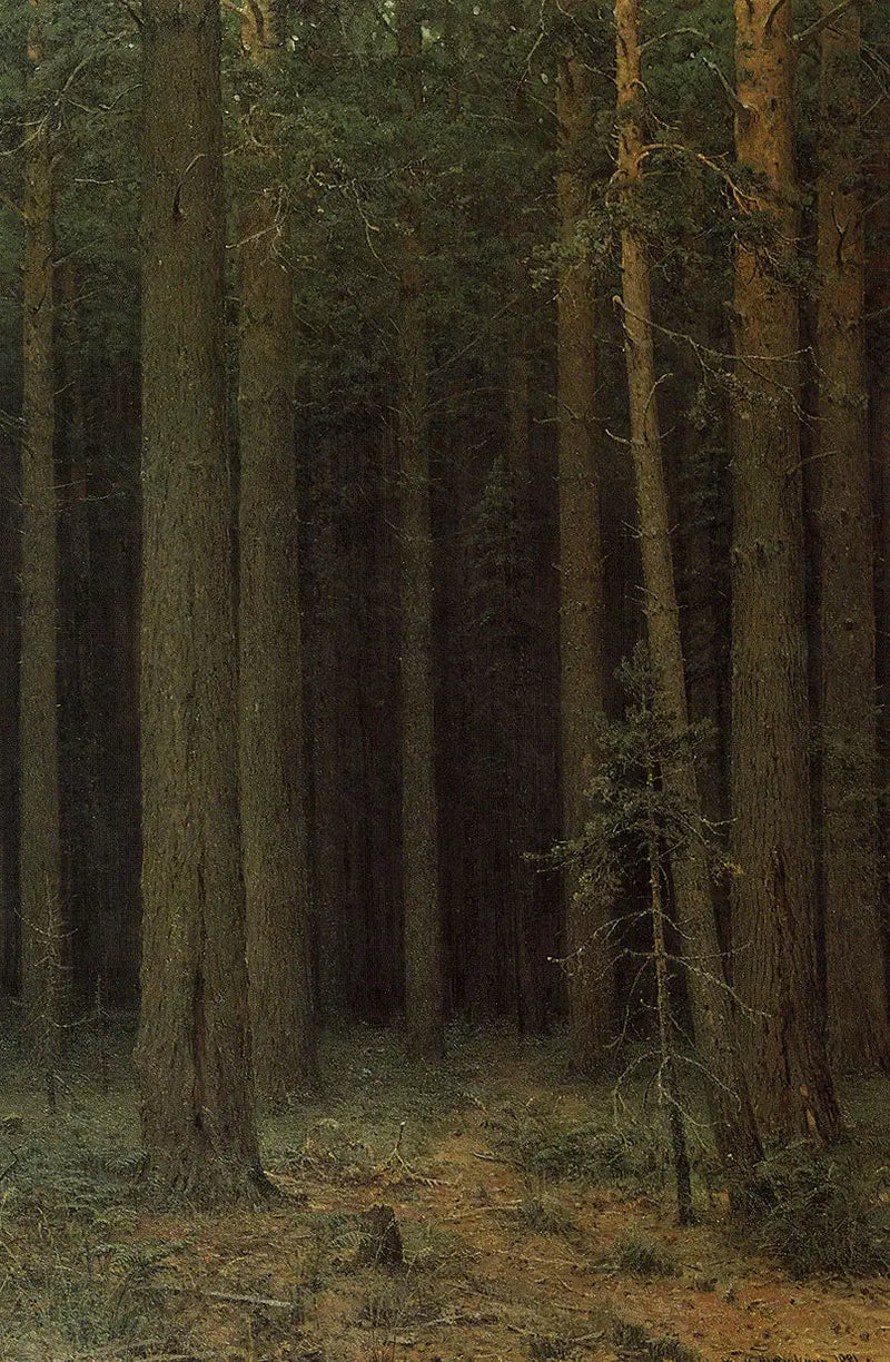 Bosreservaat. dennenbos - Ivan Chichkine

Source:
Réserve forestière. Pinède - Ivan Chichkine