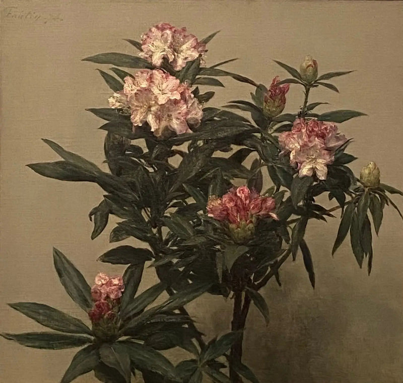 Rhododendrons - Henri Fantin-Latour

Source:
Rhododendrons - Henri Fantin-Latour