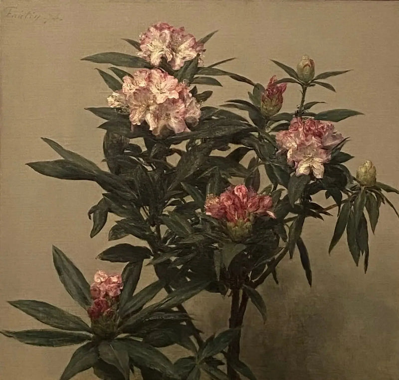 Rhododendrons - Henri Fantin-Latour

Source:
Rhododendrons - Henri Fantin-Latour